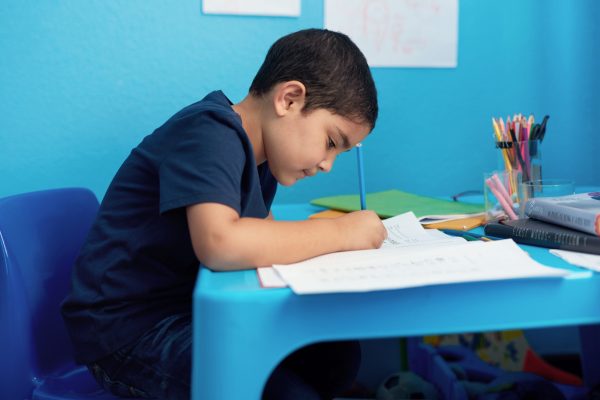 Writing, notebooks and child with homework in house for education, learning or development with knowledge. Scholarship, kid and boy student studying mathematics for school assignment in apartment.